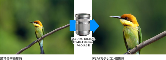 M.ZUIKO DIGITAL ED 40-150mm F4.0-5.6 R gpꍇ